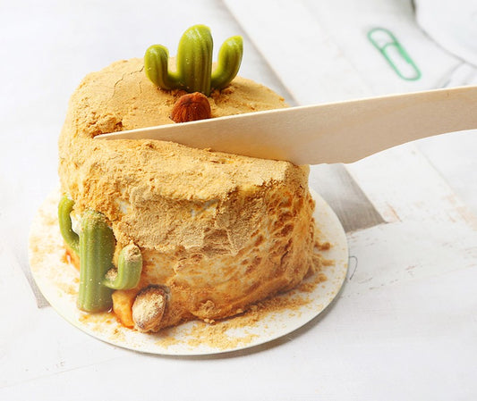 Eco-friendly disposable wooden knife wholesale | Biodegradable disposable wooden knife wholesale | Compostable disposable wooden knife factory manufacturer | Disposable cake wooden knife 